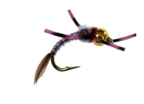 Rainbow Warrior Beadhead - Pink Rubberlegs